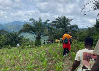 WhatsApp_Bild_2025-11-06_um_21.26.29_d55cef49_original_copy_1