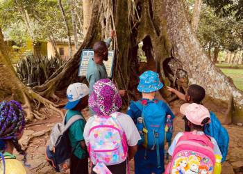 IMG-20251105-WA0055_original_copy_1