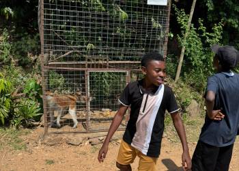 Unbenannt4_original_copy_1