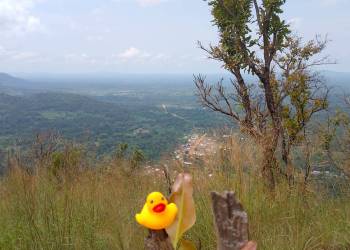 WhatsApp_Bild_2025-11-06_um_23.49.18_852db1e5_original_copy_1