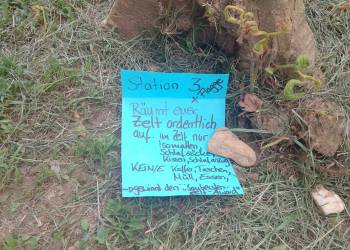 WhatsApp_Bild_2025-11-06_um_23.49.38_dfe00896_original_copy_1