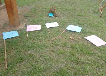 WhatsApp_Bild_2025-11-06_um_23.49.43_e21a46a8_original_copy_1