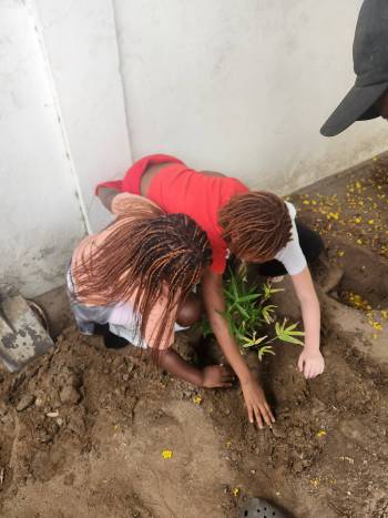 2025-12-15_Pflanzaktion_Klasse_3-4_13_original_copy_1