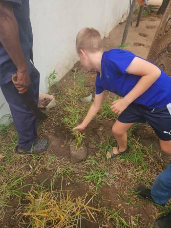 2025-12-15_Pflanzaktion_Klasse_3-4_3_original_copy_1