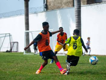 _DSC5950.JPG_original_copy_1