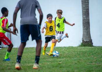 _DSC6000.JPG_original_copy_1