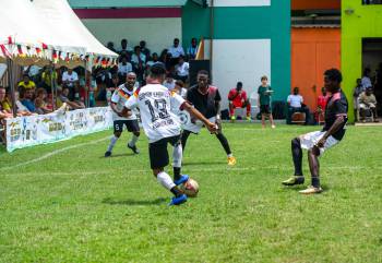 _DSC8100.jpg_original_copy_1