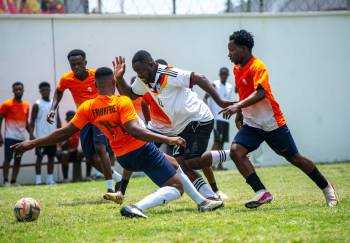 _DSC8233.jpg_original_copy_1