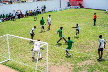 _DSC8384.jpg_original_copy_1