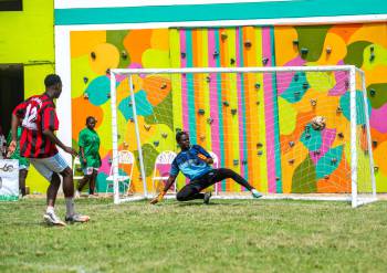 _DSC8497.jpg_original_copy_1