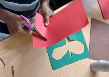 250930_Pflanzenmodell_1_original