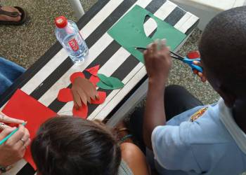 250930_Pflanzenmodell_2_original