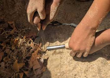 2025-10-23_Feuer_1_original