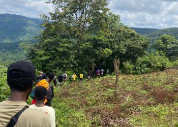 WhatsApp_Bild_2025-11-06_um_21.26.29_0ff1d5c1_original