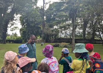 PXL_20251105_104140395_original