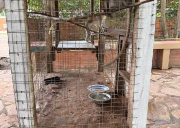 WhatsApp_Bild_2025-11-04_um_12.19.40_9a8a9f02_original