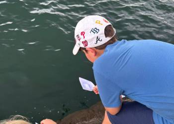 Unbenannt13_original