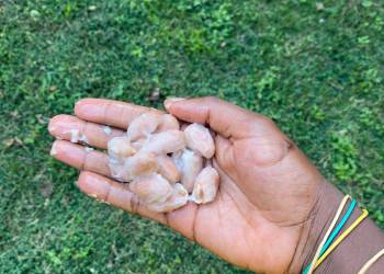 WhatsApp_Bild_2025-11-05_um_22.33.24_4dae8556_original