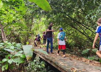 WhatsApp_Bild_2025-11-07_um_12.42.17_300c5f73_original