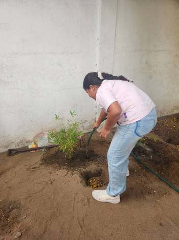 2025-12-15_Pflanzaktion_Klasse_3-4_1_original_copy_1