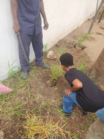 2025-12-15_Pflanzaktion_Klasse_3-4_4_original