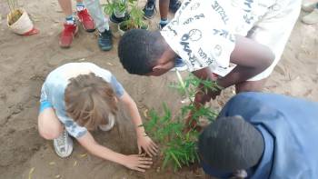 2025-12-15_Pflanzaktion_Klasse_5_2_original