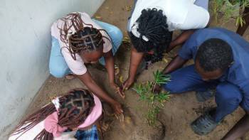 2025-12-15_Pflanzaktion_Klasse_5_5_original