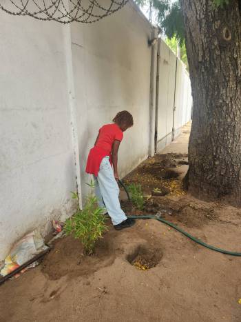 2025-12-15_Pflanzaktion_Klasse_3-4_2_original