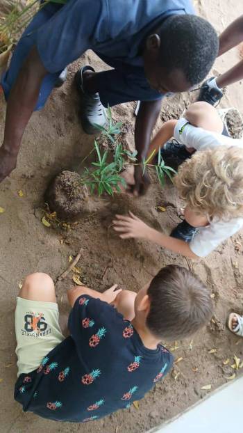 2025-12-15_Pflanzaktion_Klasse_5_3_original