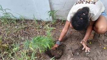 2025-12-15_Pflanzaktion_Klasse_7-8_2_original