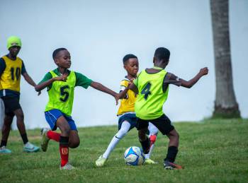 _DSC5984.JPG2_original