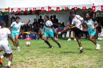 _DSC8729.jpg_original