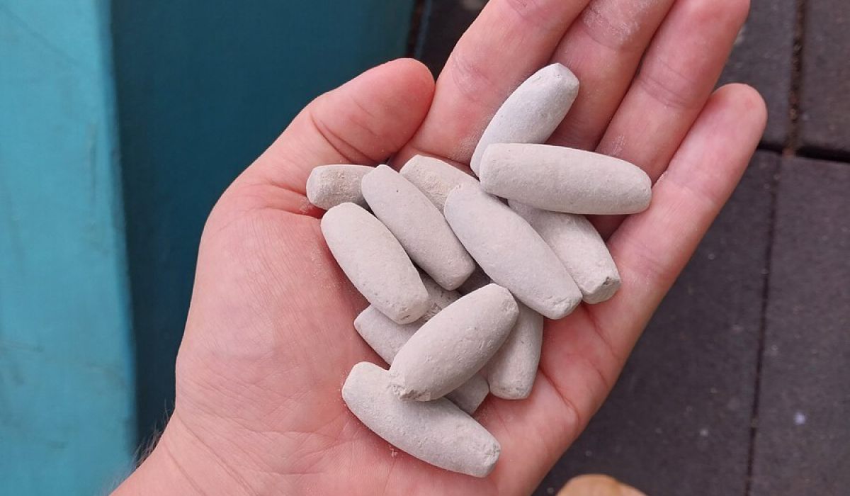 Mütter und Väter – Was gibt es Wichtigeres!