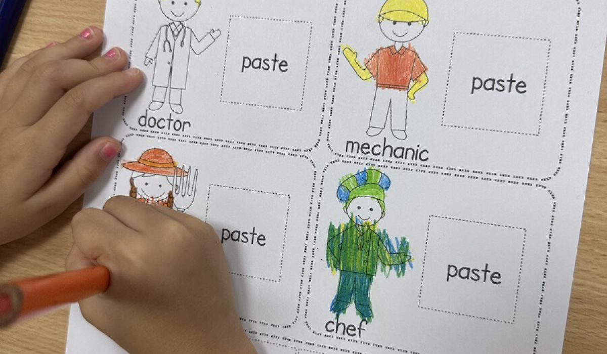 Immersion into the professional world