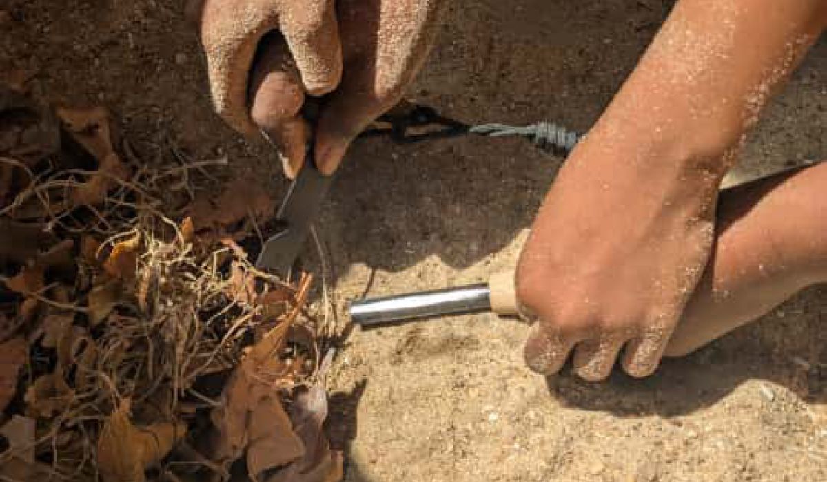 Feuer machen wie in der Steinzeit 🔥 – Ein Abenteuer in Geschichte und Natur