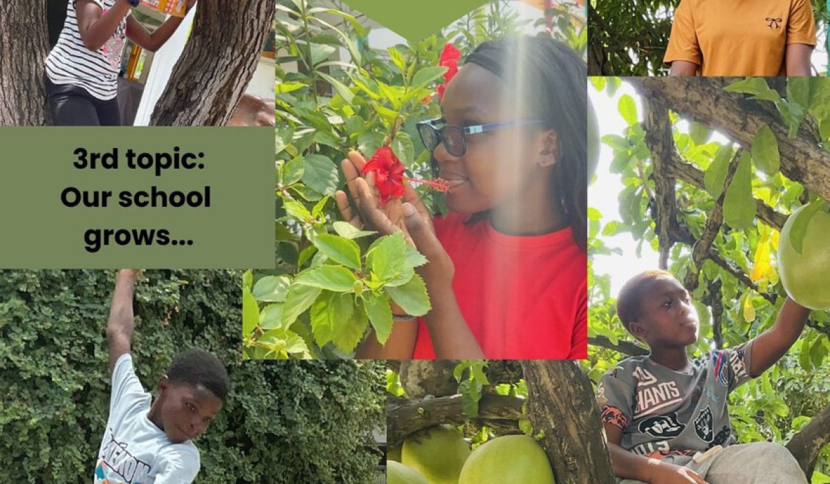 📸 Our School is Growing – Show Us Your Perspective!