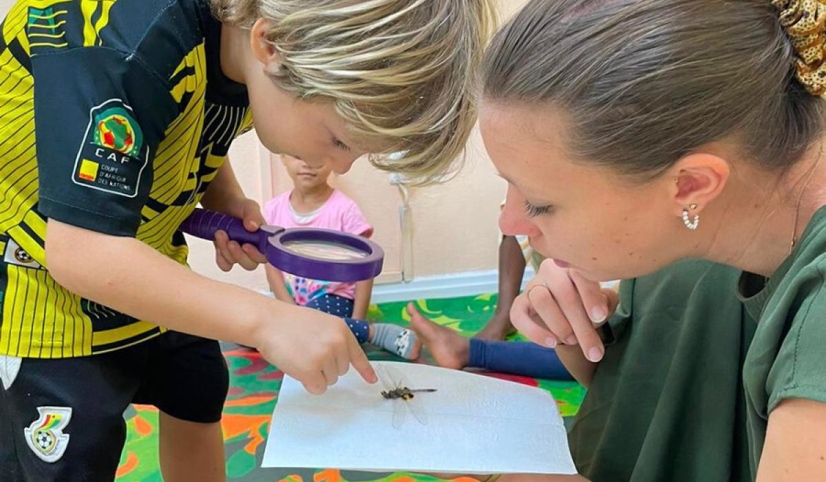 Dragonfly in the morning circle