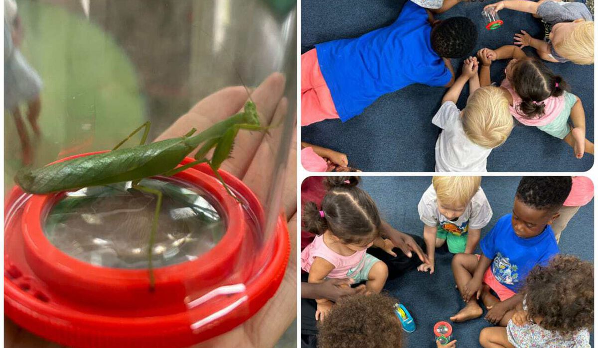Fuß- und Handabdrücke und eine Gottesanbeterin